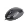 Mouse  GEMBIRD MUS-U-01 Black 