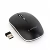 Mouse wireless  GEMBIRD MUSW-4B-01 Black 