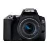 Camera foto D-SLR  CANON EOS 250D + EF-S 18-55mm f/3.5-5.6 III 