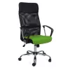 Fotoliu de birou  DP F-63~ Black+Green 