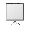 Ecran p-u proiector 200x200cm REFLECTA Crystal-Line 