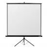 Ecran p-u proiector 240x240cm REFLECTA Crystal-Line 