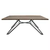 Masa Metal,  PAL melaminat,  Maro,  Negru,   DP Selena  150 x 75 x 80