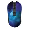 Мышь беспроводная  QUMO Universe Black/Blue 
