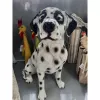 Декор  Figuren Discounter Ciine dalmatian H 33cm, L 41cm, B 29cm 