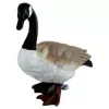 Decor  Figuren Discounter Giscte canadiane 38x18x43cm 2,4kg 