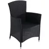 Садовое кресло Rattan, Metal, Negru Villager ATLANTIC  89 x 60 x 59