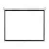 Ecran p-u proiector  ASIO CY-MS 100"(4:3) 
