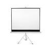 Экран для проектора  ASIO CY-TS 84"(4:3) 