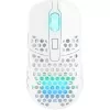 Gaming Mouse  Xtrfy M42 WL RGB White 