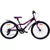 Bicicleta 24", 6 viteze, Violet AIST Rosy Junior 1.0 фиолетовый 24 сталь 6 V-brake V-brake подростковый, женский 