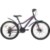 Bicicleta 24", 21 viteze, Gri, Roz AIST Rosy Junior 2.1 серый с розовым 24 алюминий 21 диск. механ. диск. механ. подростковый, женский 