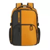 Рюкзак  Samsonite BIZ2GO-BP 15.6 DAYTRIP Galben 1st 