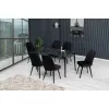 Стол со стульями  MP 2 Negru (Masa Butterfly Benfir + 6 scaune Gold velour negru) 