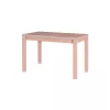 Стол Lemn MLAND MAX 10 laminat 70 x 120/160 