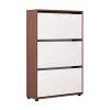 Тумба для обуви  MOBILDOR LUX LEO 50 3 uși Wenge/White 