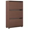 Тумба для обуви  MOBILDOR LUX LEO Slim 50 3 uși 125x50x16 Wenge 