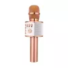 Микрофон  HELMET Wireless Karaoke H12 Rose 