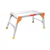 Scara 50 cm, 5 kg TechnoWorker tip platforma 76x30 Pro 