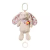 Jucarie 0+ BabyOno 1526 muzicala Rabbit Milly 