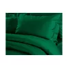 Lenjerie de pat 2 persoane Euro, Satin, Verde A.REMAX S.C.  Cearsaf de plapuma, cearsaf de pat + 2 fete de perna 