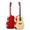 Гитара  CM
 Acustica ENJOY M4101 NT 