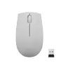 Mouse wireless  LENOVO 300 Wireless Compact Mouse Arctic Grey (GY51L15678) 