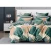 Постельное белье (комплект) 2 persoane Euro, Satin, Verde CTEXTIL GROUP 
 2.2 design110 