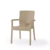 Scaun Cappuccino MP Vector  