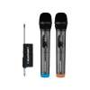 Микрофон  Blaupunkt WM60UDB 2 in. 