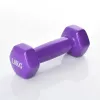 Haltera 1 kg Arena A801F 