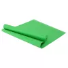 Covoras fitness 173x61x0.8 cm Arena 840358 PVC 8 mm, verde 