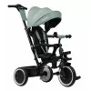 Детский велосипед  PM Tricicleta Lionelo Berry Green Forest 