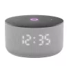 Smart Speaker  Yandex YNDX-00027GRY  STATION MINI 3 WITH ALISA, GRAY LED Display, Smart Home Control Center, No Hub Required, Wi-FI-AC + BT5.0, Alisa Assistant built-in, 12W, Sensor buttons, 3 Microphones