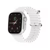 Smartwatch  Maxcom Maxcom Smart Watch Ecowatch 2 , Silver 