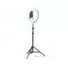 Accesorii Camere de Actiune  No name Selfie Ring RGB Light 22" MJ56 with Tripod 2.1m, Bag and Remote Control MJ56 