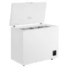 Lada frigorifica  GORENJE Refr/fch Gorenje FH19EAW 