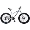 Bicicleta  Frike ВЕЛОСИПЕД  GUNSROSE FATBIKE 24 WHITE 