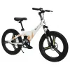 Bicicleta pentru copii  TyBike ДЕТСКИЙ ВЕЛОСИПЕД  BK-09 20 WHITE 