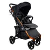 Carucior  El Nino КОЛЯСКА  BLANCA GOLDEN BLACK 