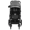 Carucior  Moni КОЛЯСКА  RAFAELLO 2IN1 GREY 