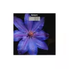 Cantar de podea  SATURN ST-PS0287 180 kg 