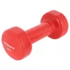 Haltera  Dumbbell Гантель Enero Vinyl Dumbbell 3kg 