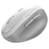 Мышь беспроводная  GENIUS Wireless Mouse Genius Ergo 8350S, 1200-2400 dpi, 6 buttons, Ergonomic, 81g, 55° tilt, Silent, BlueEye, 1xAA, BT+2.4Ghz, White Grey 