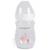 Biberon pentru bebelusi  Cangaroo Бутылочка для кормления Cangaroo Birdy Blu Girl C0562 160ml 
