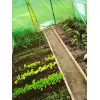 Sera  Gardenline Парник (теплица) GardenLine TUN5552 3x2x2m 
