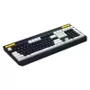 Gaming keyboard  HATOR Gaming Keyboard HATOR Icefall, full-size, RGB for 8 separate zones, 1.8m, USB, EN/UA, Black 