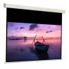 Экран для проектора  SOPAR Manual Screen 16:9 Sopar New Platinum 3302PLHT, 300x208cm/292x164cm view area, BB/RB, 1.2 gain, 