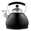 Ceainic  Ardesto Kettle ARDESTO AR0748KS Black Mars 3.0l 
