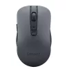 Игровая мышь  LENOVO Lenovo WL310 BT Mouse Standalone 